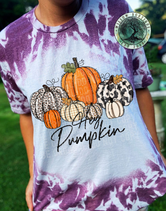 Rustic Hey Pumpkin Tee