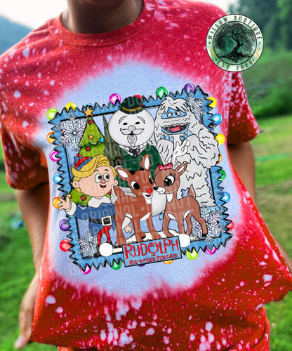 Reindeer and Friends Tee