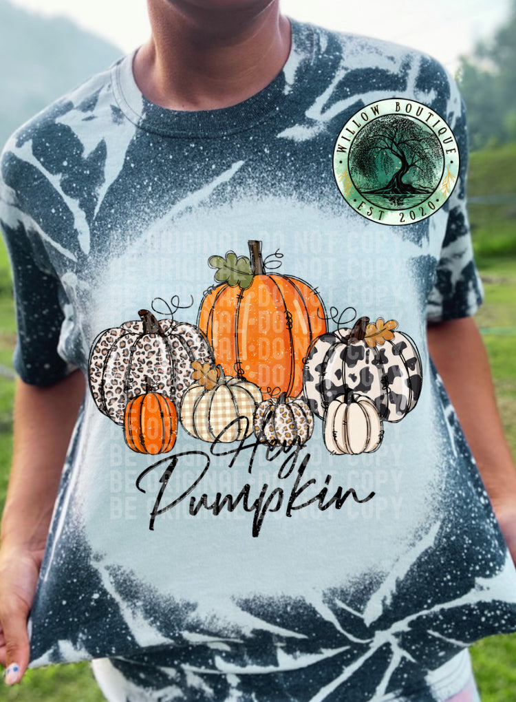 Rustic Hey Pumpkin Tee